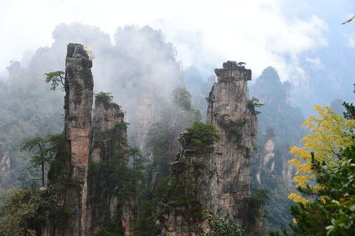 去張家界需要準(zhǔn)備什么？了解這些游玩須知，比準(zhǔn)備衣服要重要